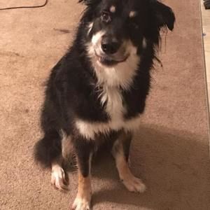 Meet your Posher, Camberleigh